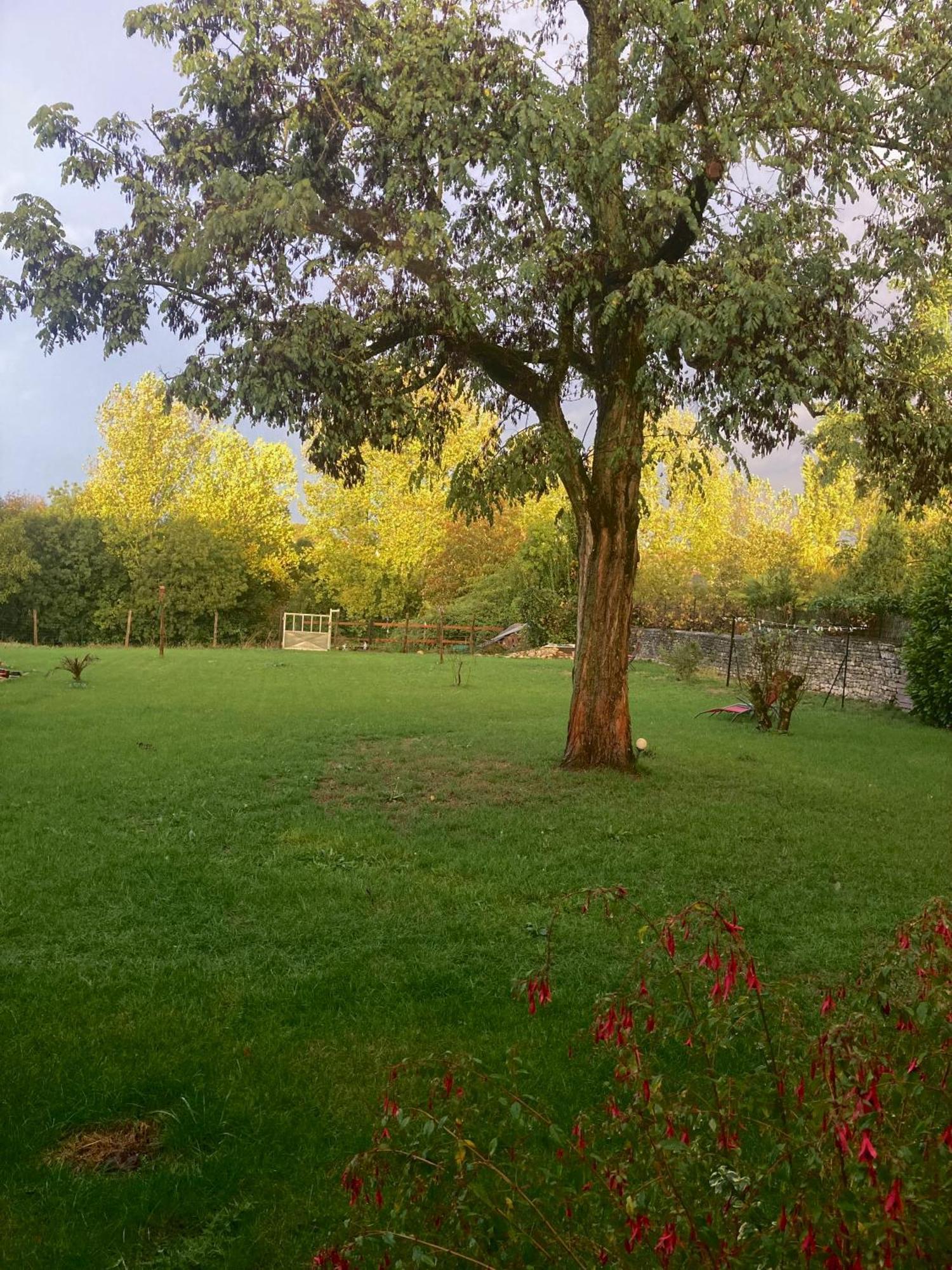 Le Langon The Blue Lotus Gite And Spa מראה חיצוני תמונה